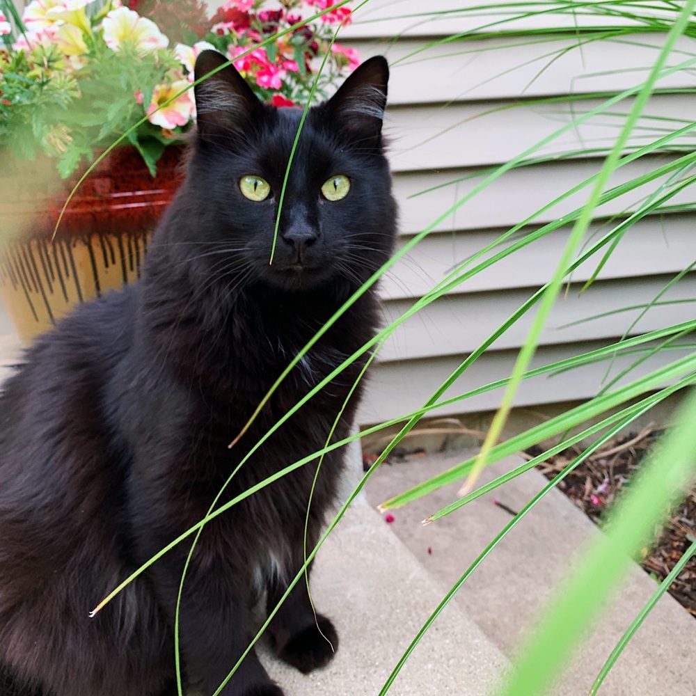 Meet your Posher, Clare